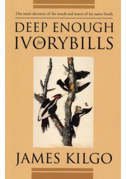 Deep Enough for Ivorybills