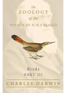 Birds - Part III - The Zoology of the Voyage of H.M.S Beagle ; Under the Command of Captain Fitzroy - During the Years 1832 to 1836