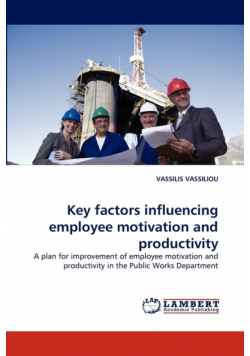 Key Factors Influencing Employee Motivation and Productivity