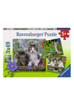 Puzzle 3x49 Kocięta
