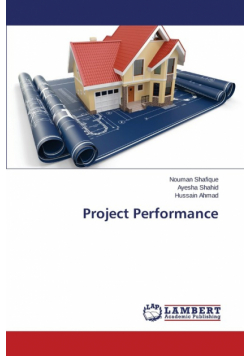 Project Performance