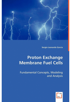 Proton Exchange Membrane Fuel Cells