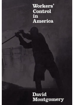 Workers' Control in America