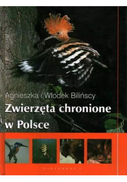 Zwierzęta Chronione W Polsce