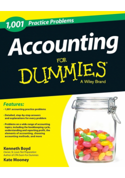 1,001 Accounting Practice Problems For Dummies