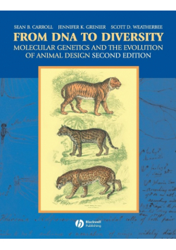 From DNA to Diversity 2e