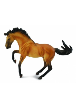 Ogier lusitano buckskin XL