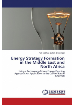 Energy Strategy Formation in the Middle East and North Africa