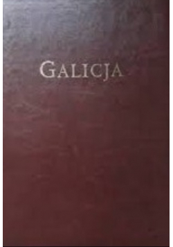 Galicja album widoków