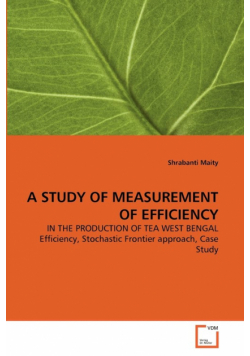 A Study Of Measurement Of Efficiency