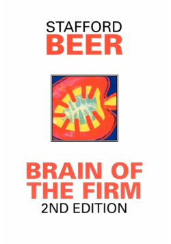 Brain of the Firm