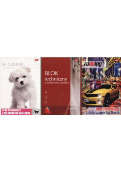 Blok techniczny A4 z kolorowymi kartkami 10 kartek 10 sztuk mix