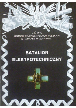 Batalion elektrotechniczny