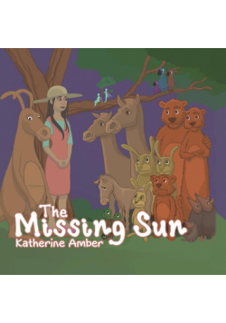 The Missing Sun