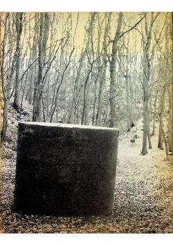 Neue Skulpturen in Europa 1986 - 1988 Recent Sculpture in Europe 1986 - 1988