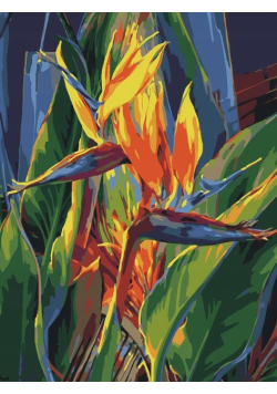 Malowanie po numerach - Strelicja królewska 30x40