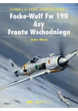 Focke Wulf Fw 190 Asy Frontu Zachodniego