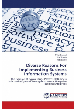 Diverse Reasons For Implementing Business Information Systems