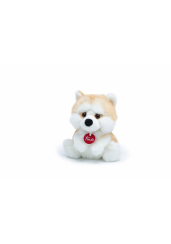 Fluffy Akita