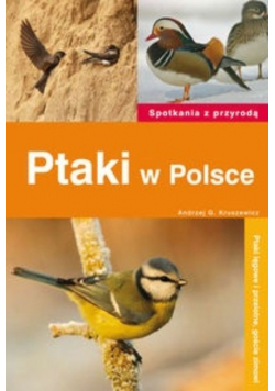 Ptaki w Polsce