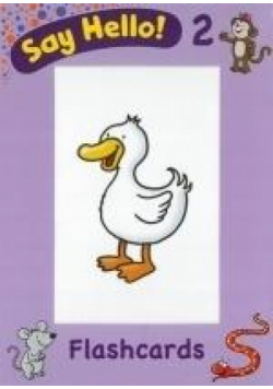 Say Hello 2.Flashcards