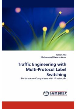 Traffic Engineering with Multi-Protocol Label Switching