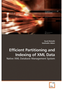 Efficient Partitioning and Indexing of XML Data
