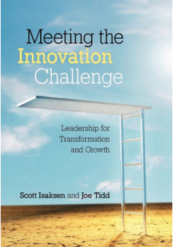 Meeting the Innovation Challenge