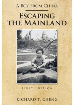 A Boy from China