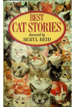 Best Cat Stories