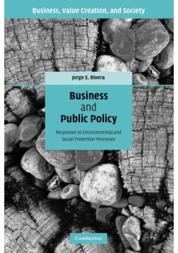 Business and Public Policy