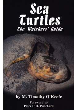 Sea Turtles