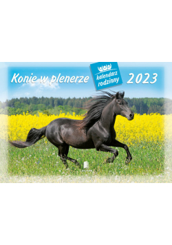 Kalendarz rodzinny 2023 WL10 Konie w plenerze