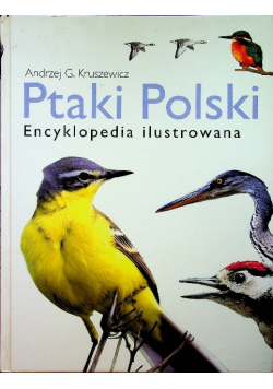 Ptaki Polski Encyklopedia ilustrowana