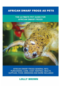 African Dwarf Frogs as Pets