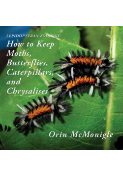Lepidopteran Zoology