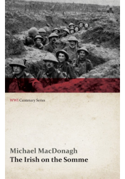 The Irish on the Somme (WWI Centenary Series)