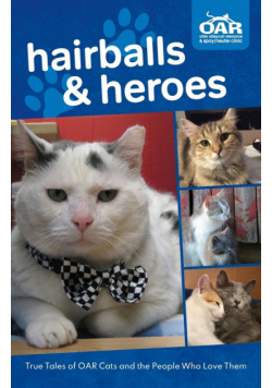 Hairballs and Heroes