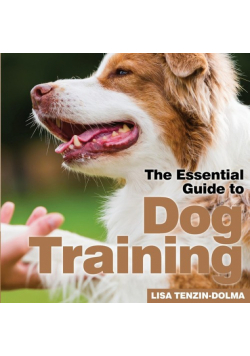 Dog Training