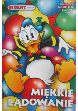 Miękkie lądowanie