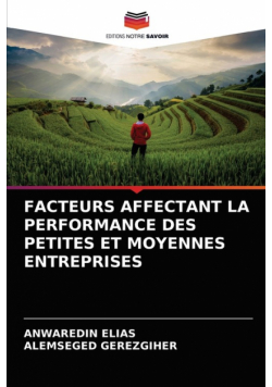 Facteurs Affectant La Performance Des Petites Et Moyennes Entreprises