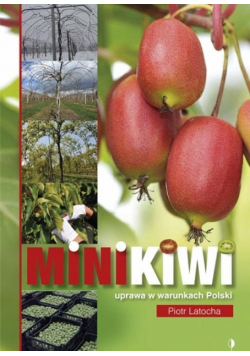 MiniKiwi uprawa w warunkach Polski