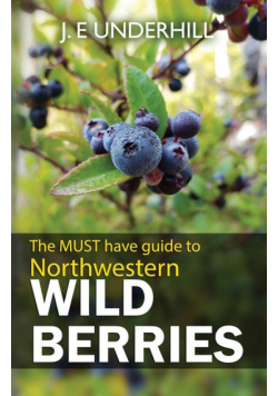 Northwestern Wild Berries