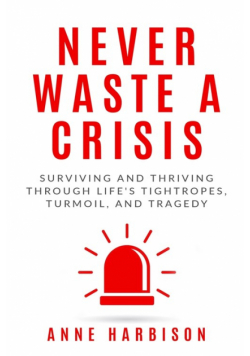 Never Waste a Crisis