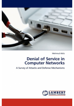 Denial of Service in Computer Networks