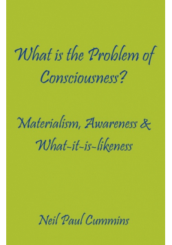 What is the Problem of Consciousness?