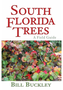 South Florida Trees
