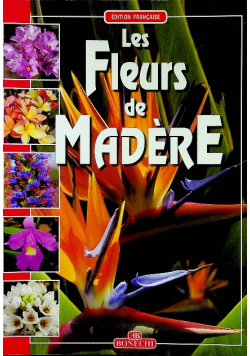 Les fleurs de madere