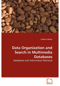 Data Organization and Search in Multimedia Databases