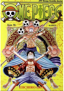One Piece Tom 30